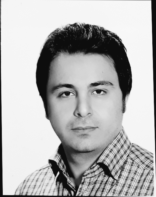 اعضا و مشاوران حقیقی - ناصر محمدی