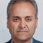 شاهرخی