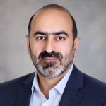 نگینی