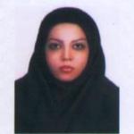 نظری