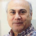 بیگی