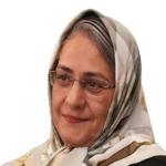 سلوکی سلوکی