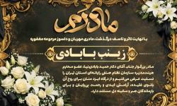 پیام تسلیت نصر تهران در پی درگذشت مادر دکتر بابادی‌نیا